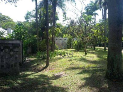 Terreno, 2 hectares - Foto 4