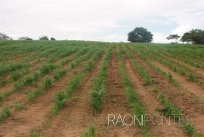 Fazenda, 8 quartos - Foto 1