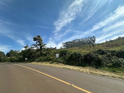 Terreno, 6 hectares - Foto 3