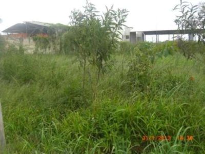 Terreno, 620 m² - Foto 3