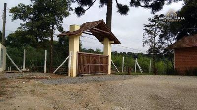 Chácara, 4 quartos, 2 hectares - Foto 2