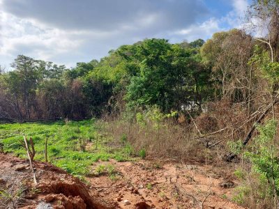Terreno, 360 m² - Foto 5
