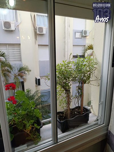 Apartamento, 1 quarto, 51 m² - Foto 2
