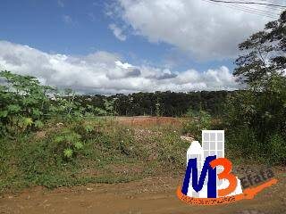 Terreno, 1 hectares - Foto 2
