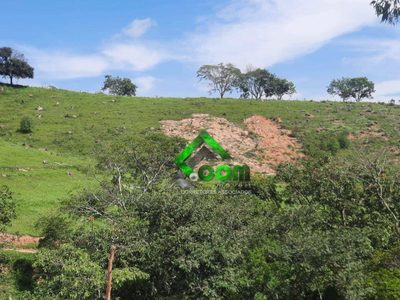 Terreno, 2 hectares - Foto 3