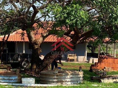 Fazenda, 242 hectares - Foto 3