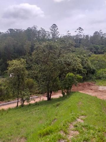 Chácara, 1 quarto, 7646 m² - Foto 3