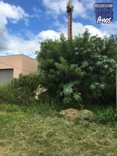Terreno, 1500 m² - Foto 4