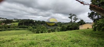 Terreno, 3 hectares - Foto 5