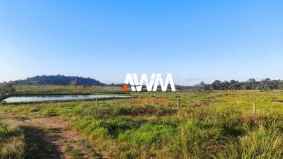 Fazenda, 484 hectares - Foto 3