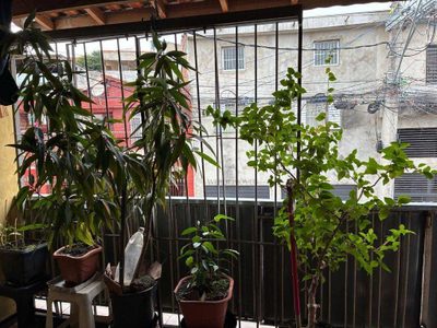 Casa, 2 quartos, 130 m² - Foto 4
