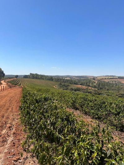 Fazenda, 1 quarto - Foto 2