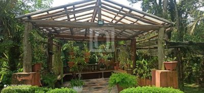 Sítio, 4 quartos, 4000 m² - Foto 3