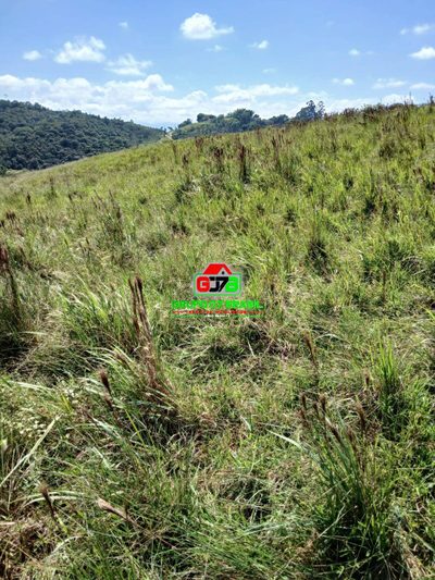 Terreno - Foto 2