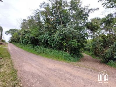 Terreno, 2 hectares - Foto 2