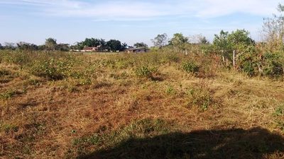 Terreno, 2000 m² - Foto 5