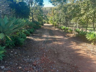 Chácara, 5 quartos, 3 hectares - Foto 3