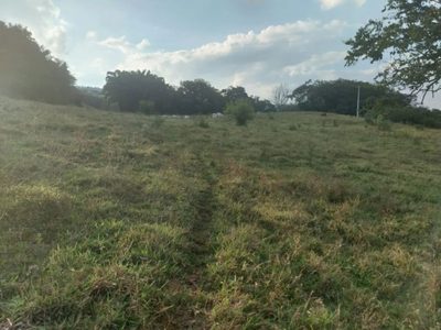 Terreno - Foto 1