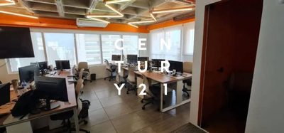 Sala-Conjunto, 289 m² - Foto 5