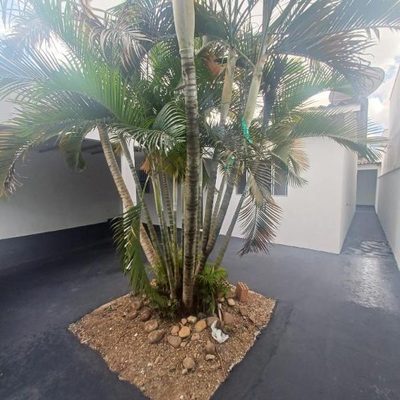 Casa, 2 quartos, 124 m² - Foto 1