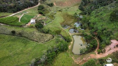 Terreno, 24 hectares - Foto 3