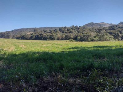 Chácara, 10 hectares - Foto 1