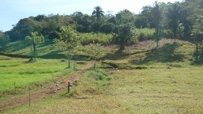 Terreno, 8 hectares - Foto 2