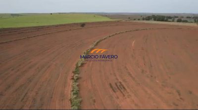 Fazenda, 311 hectares - Foto 2