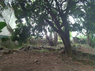 Terreno, 336 m² - Foto 4