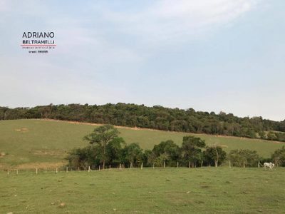 Terreno, 43 hectares - Foto 1