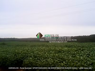 Terreno, 1200 m² - Foto 4