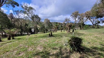 Terreno, 1080 m² - Foto 4