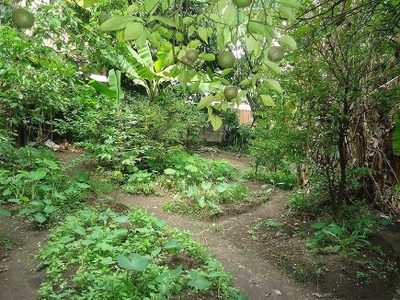 Casa, 3 quartos, 1240 m² - Foto 4