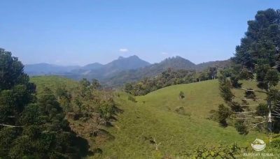 Terreno, 14 hectares - Foto 4