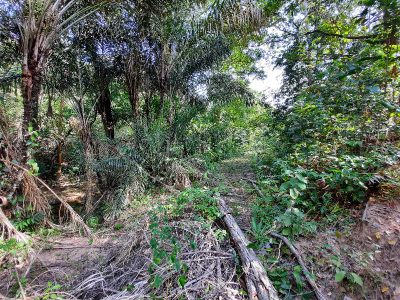 Terreno - Foto 4