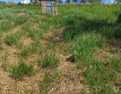 Terreno, 275 m² - Foto 4