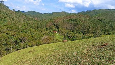 Sítio, 2 quartos, 350 m² - Foto 2