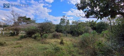 Terreno, 3 hectares - Foto 3