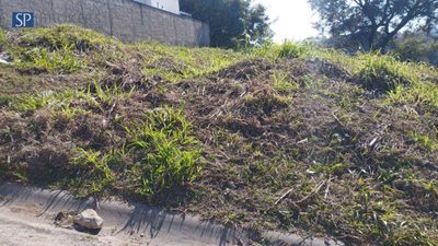 Terreno, 250 m² - Foto 1