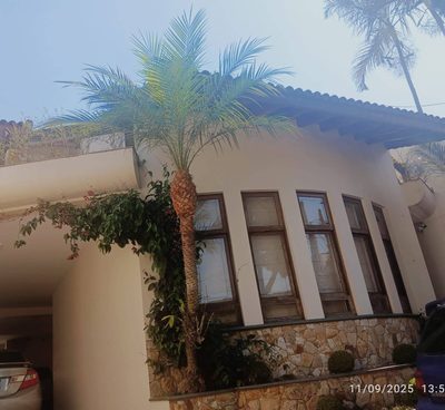 Sobrado, 4 quartos, 495 m² - Foto 1
