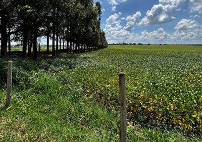 Fazenda, 1 quarto - Foto 1