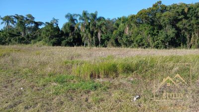 Terreno, 203 hectares - Foto 3