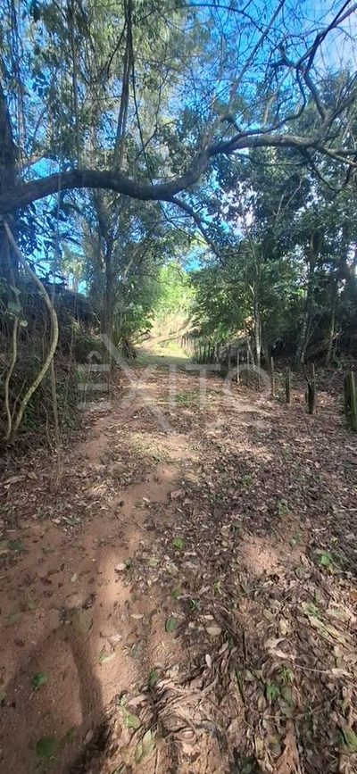Sítio, 3 quartos, 2 hectares - Foto 2