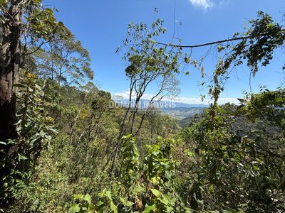 Terreno, 1500 m² - Foto 4
