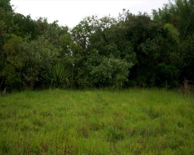 Terreno, 1 hectares - Foto 4