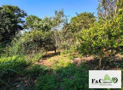 Fazenda, 1000 m² - Foto 2