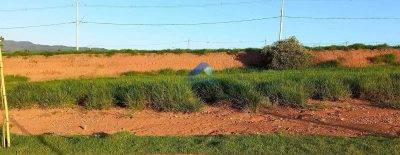 Terreno, 200 m² - Foto 4