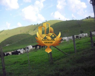 Fazenda, 121 hectares - Foto 3
