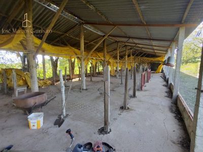 Sítio, 3 quartos, 17 hectares - Foto 4