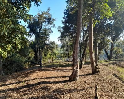Terreno, 5850 m² - Foto 3